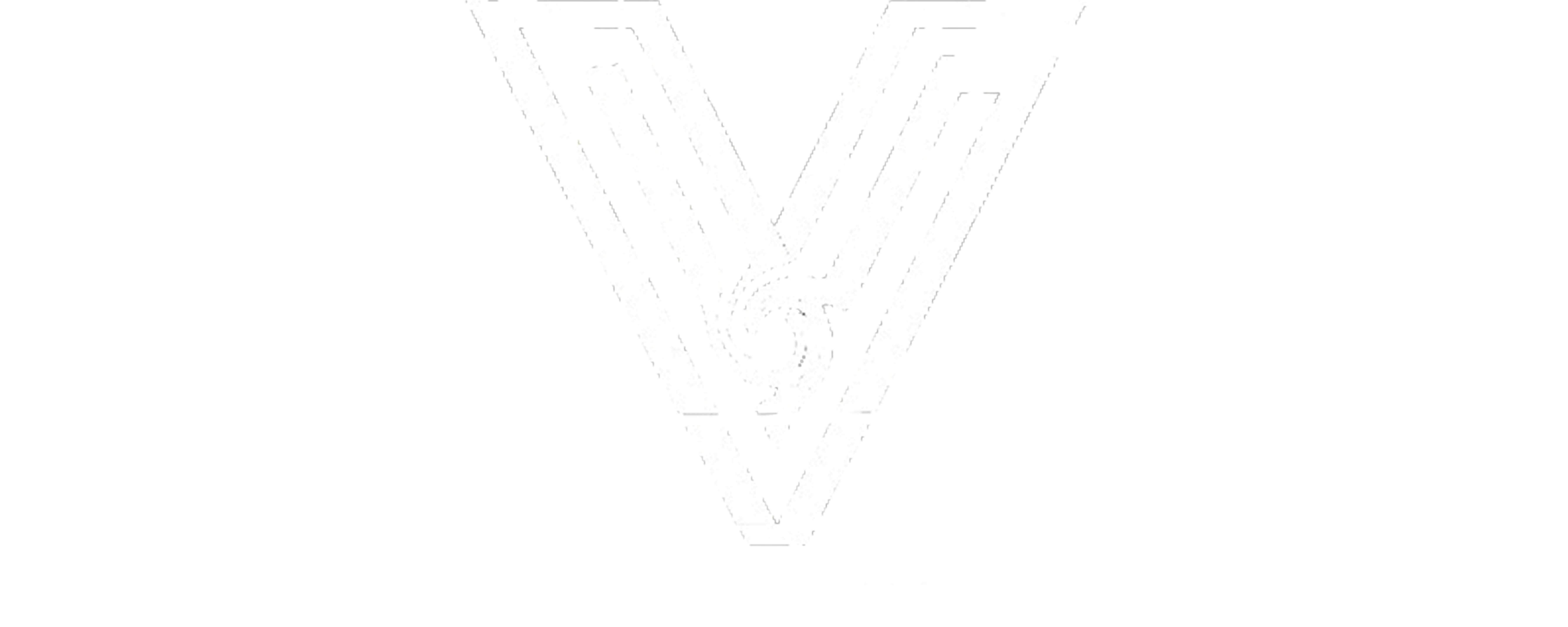 V V Brother Group